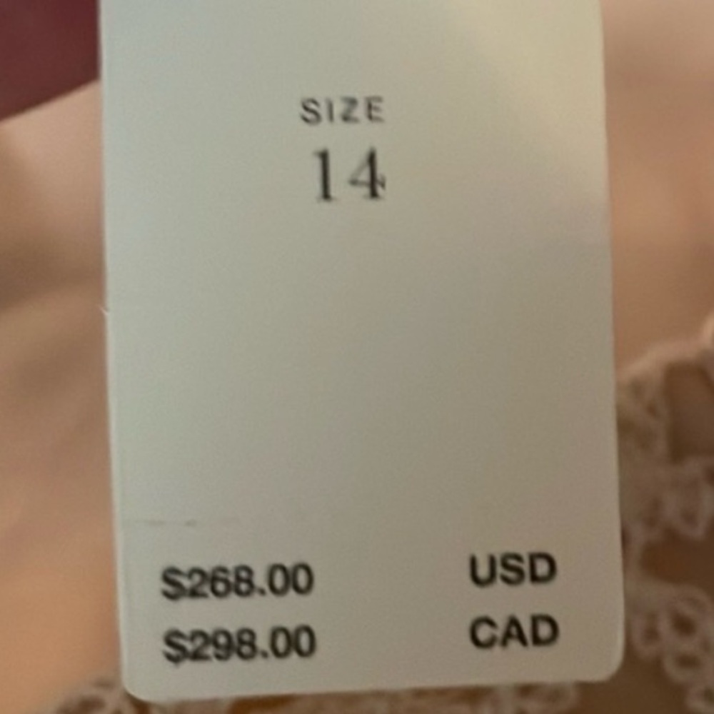 NWT! By Anthropologie Lace Basque-Waist Mini Dress in Ivory - Multiple🛋️🍊🪑 - Picture 7 of 13